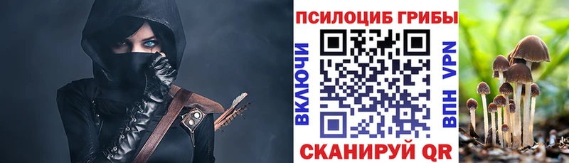 Галлюциногенные грибы Psilocybine cubensis  Очёр 
